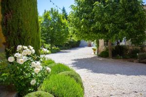 Gallery image of Domaine de Blanche Fleur in Châteauneuf-de-Gadagne