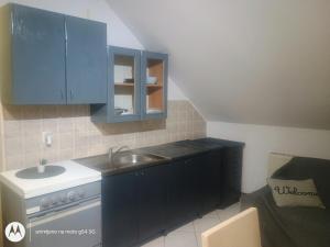 Kuchyň nebo kuchyňský kout v ubytování Hostel Lega House