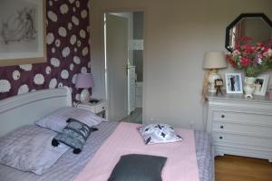 a bedroom with a bed and a dresser and a mirror at SAINT Pavace in Saint Pavace +2 photos