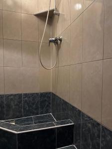 Koupelna v ubytování Hotel Haga