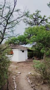 Un edificio bianco in mezzo ad alcuni alberi di Centro Ecoholístico Alami a San Marcos Sierra Altre 7 foto