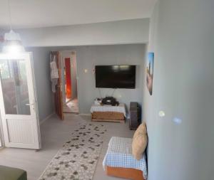 a living room with a tv and a couch at cardaklikonak in Geyikbayırı