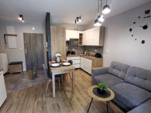 a living room with a couch and a table at Apartament Turkusowy in Karpacz +19 photos