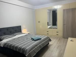 克拉约瓦Adela Luxury House Craiova Near Christmas Market的一间卧室配有一张大床,上面有蓝色的枕头 更多12张照片