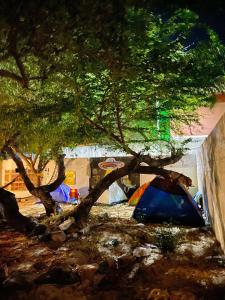 Foto dalla galleria di Canoa Roots Hostel & Camping a Canoa Quebrada