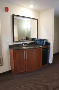 A kitchen or kitchenette at AmericInn by Wyndham Sibley