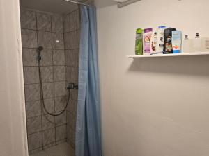 Koupelna v ubytování Wohnung 5min von Leoben entfernt 2