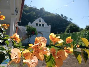 a plant with orange flowers in front of a building at Valle de Toliman in San Lucas Tolimán