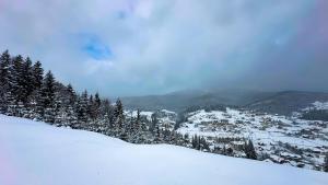 Шепіт Лісу durante l'inverno