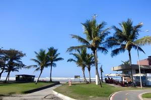 a group of palm trees in front of the ocean at Suites Praiamar Vista Linda Bertioga in Bertioga