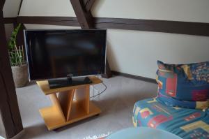 TV a/nebo společenská místnost v ubytování Alte Post - Hotel Am Rhein-Ufer Laufenburg