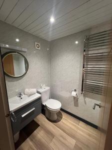 a bathroom with a toilet and a sink and a mirror at Princes Street Executive Apartment 1 in Thurso