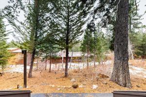 Fotografie z fotogalerie ubytování Granlibakken # 42 B Studio with One King bed v destinaci Tahoe City + 16 fotografií