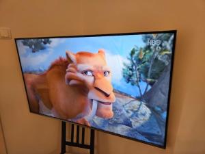 a television with a lion head on a wall at Old city life in Maribor +3 photos