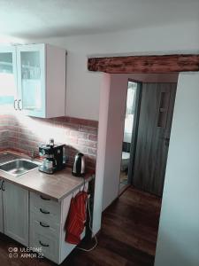 Kuchyň nebo kuchyňský kout v ubytování Apartment 1 + 7 fotografií