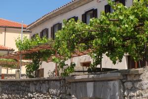 a building with a tree in front of it at House Dragica in Grižane