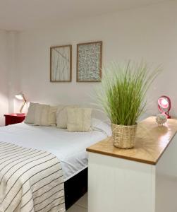 a bedroom with a bed with a plant on a table at Penguins Flats 3 in Ushuaia +9 photos