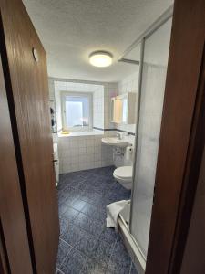 a bathroom with a toilet and a sink at Haus Crestas in Samnaun +20 photos