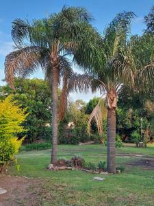 Κήπος έξω από το Casona Los Lilios en Victoria Entre Rios +47 φωτογραφίες