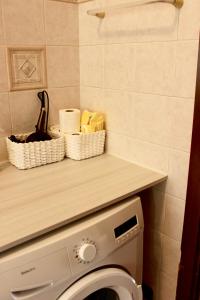 a bathroom with a washing machine and a counter at Pietro Apartment Fiera in Lainate