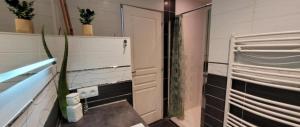 a bathroom with a mirror and a sink and a shower at Wonderful heart of Nice in Nice