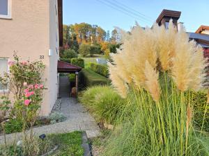 Zahrada ubytování Ferienwohnung Fornsbachblick