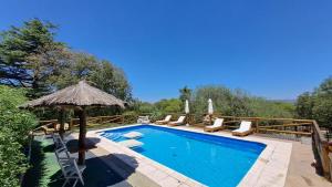 a swimming pool with chairs and an umbrella at Flor de Lis Casas de Campo in Los Cocos