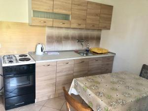 Küche/Küchenzeile in der Unterkunft Apartments Kate
