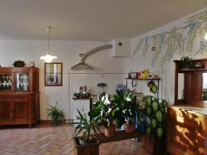 a room with potted plants on the wall at B&B Leon d'Oro in Pusiano +41 photos