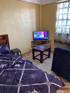 TV a/nebo společenská místnost v ubytování Tsavo Apartments Ogembo