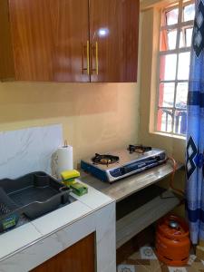 Kuchyň nebo kuchyňský kout v ubytování Tsavo Apartments Ogembo