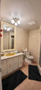 索罗尔德Cozy Home Close to Attractions in Niagara Falls的带水槽、马桶和镜子的浴室 更多37张照片