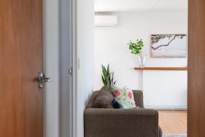 a brown couch in a living room with a plant at Downtown Cosy Cottage in Mount Maunganui
