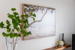 a picture hanging on a wall next to a plant at Downtown Cosy Cottage in Mount Maunganui