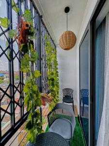阿克拉iFORA Homes- Stylish 3 Bedroom Condo near A&C Mall的阳台配有椅子,窗户则种有植物