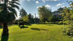 ein Grasfeld mit einer Palme im Vordergrund in der Unterkunft Paraje del molino Loft in Colón