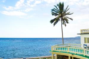una palmera junto a un edificio y el océano en Sahara dela Mer Inn, en Montego Bay