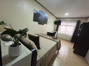 TV a/nebo společenská místnost v ubytování HOTEL DEL RiO