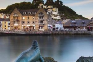 a statue of a seal in a body of water at The Fishermans Daughters in Looe