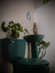a bathroom with a blue sink and a toilet with plants at Casa pájaros- Habitación Colibri in Troncones