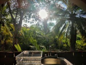 a bath tub with a view of a palm tree at Casa pájaros- Habitación Colibri in Troncones