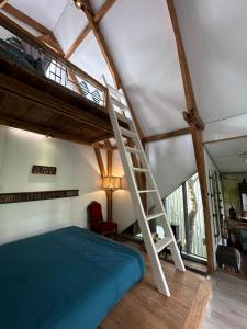 a bedroom with a bunk bed and a ladder at Stilt House - Tre Dalat in Da Thien