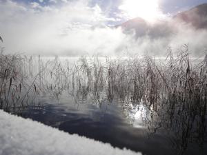 Paesaggio naturale nelle vicinanze dell'affittacamere