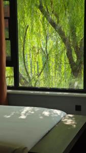洛阳Qichi Waterfront B&B Hotel的相册照片