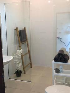 a bathroom with a ladder in the corner of a shower at Pinky Bungalow Resort & Villa - SHA Extra Plus in Ko Lanta