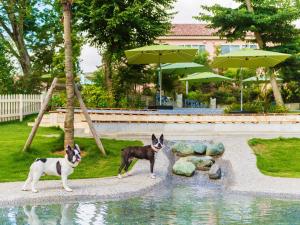 Zahrada ubytování Koyaru-no-sato Doggys Island + 37 fotografií