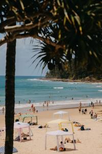 a group of people on a beach with the ocean at On The Beach Noosa Resort in Noosa Heads +110 photos