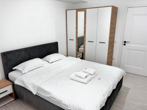 Katil atau katil-katil dalam bilik di Unique Cozy Penthouses with Terrace and Suceava Magic View
