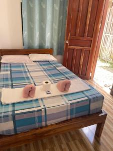 Gallery image of Leianna's Homestay in Port Barton