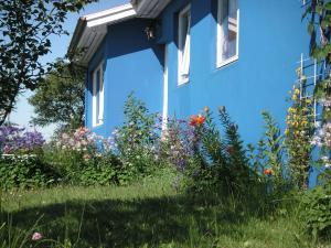 Garður fyrir utan CJA Guesthouse
